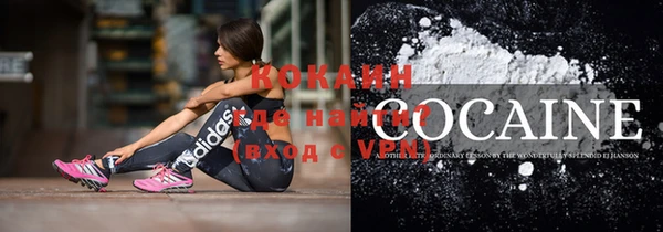 гидропоника Дмитриев