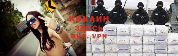 гидропоника Дмитриев