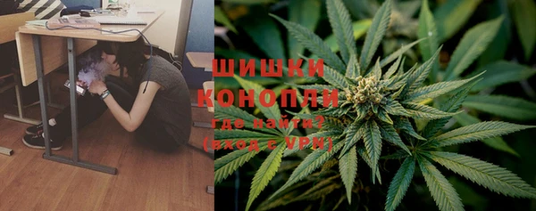 гидропоника Дмитриев