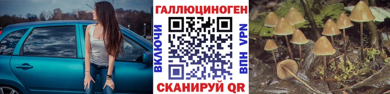 Купить где  Нижние Серги  Псилоцибиновые грибы Psilocybine cubensis 